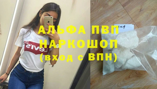 СК Белокуриха