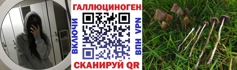 Купить  Муравленко  Псилоцибиновые грибы ЛСД 